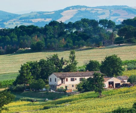 Foto Casa-rural Angeli Di Angelo Angeli - Pesaro e Urbino