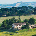 Angeli Di Angelo Angeli