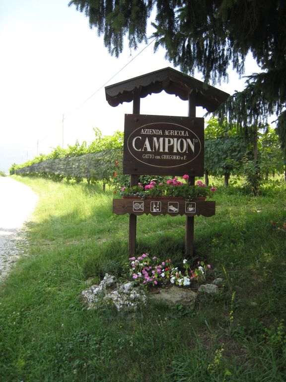 Campion 