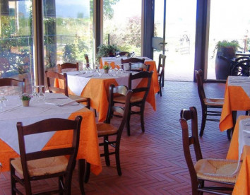 Restaurante 7