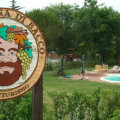 La Cantina Di Bacco