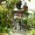 preview image1 esterno