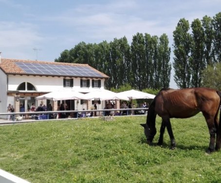 Ferienbauernhof Dei Ciliegi - Zero Branco