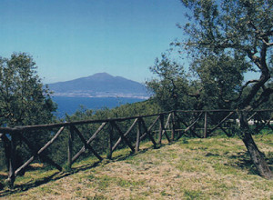 image2 Villa Giusso