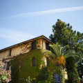 Costantino
