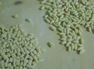 image8 Agribosco 