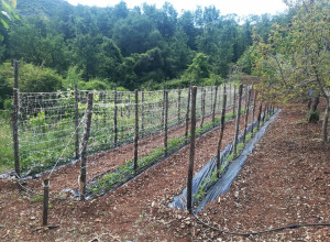 image16 Agribosco 
