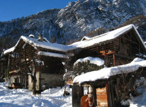 image3 Alagna