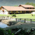 Il Melo Verde