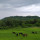 preview image1 esterno