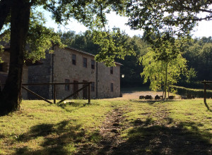 image21 La Boscaglia