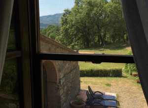 image17 La Boscaglia