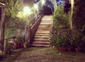 image9 La Boscaglia