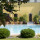 preview image9 piscina