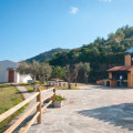 Gli Ulivi 