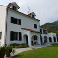 Palmero