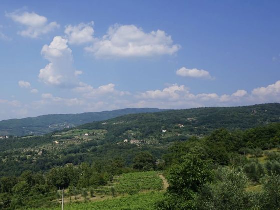 Prato Barone - foto 11