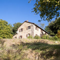 Giandriale
