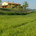 Sant Angiolino