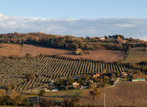image20 A 3 Passi