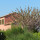 preview image9 esterno