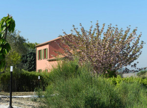 image3 A 3 Passi