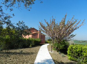 image0 A 3 Passi