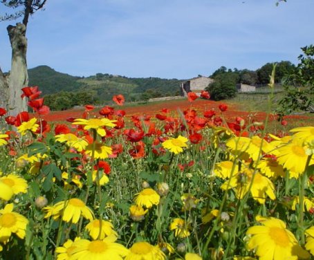 Ferienbauernhof La Landuccia - Pomarance