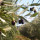 preview image19 esterno