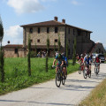 Il Felciaione