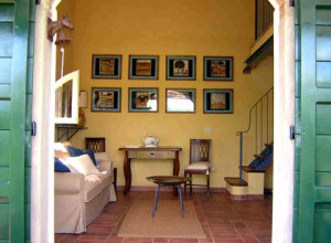 image7 Podere L'Olmaia
