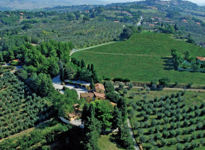 image5 Fattoria La Prugnola