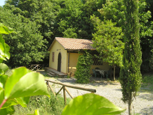 image6 Fattoria La Prugnola