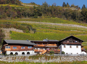image19 Hoferhof
