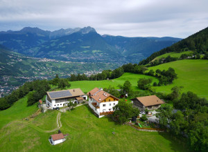 Niederhof