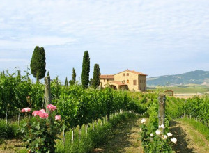 image0 Marcampo