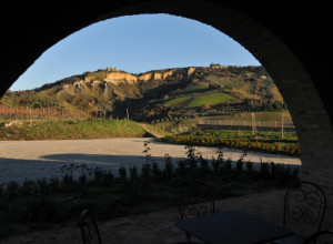 image5 Marcampo