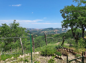 image8 La Vecchia Fontana