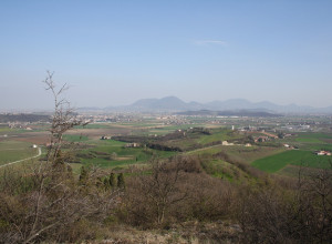 image9 Le Mandolare