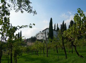 image16 Le Mandolare