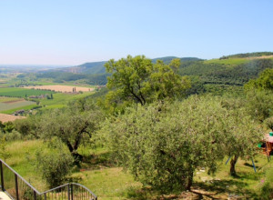 image24 Le Mandolare