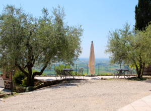 image10 Le Mandolare