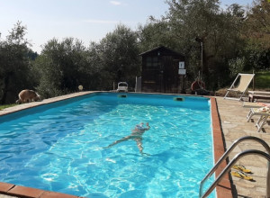 image6 Podere Borgaruccio