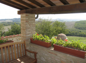 image14 Ragoncino