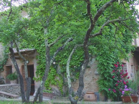 Podere Casetta - foto 2