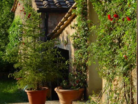 Podere Casetta - foto 6