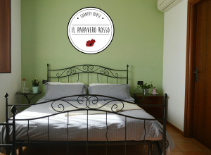 image9 Il Papavero Rosso