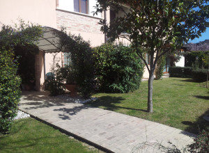 image8 Il Papavero Rosso