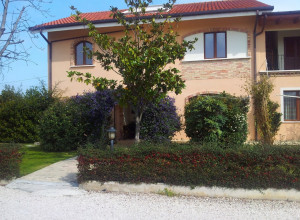 image13 Il Papavero Rosso