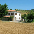 Chicchirichì